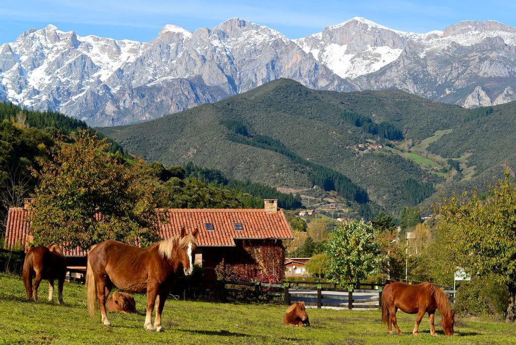 Hotel-Posada La Casa De Frama ภายนอก รูปภาพ